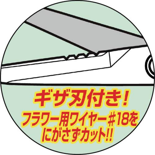 Amazon.com : Chikamasa Flower Arrangement Scissors White : Patio