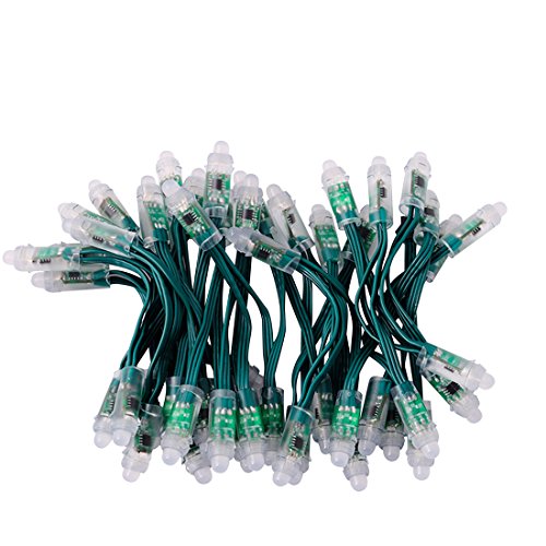 BTF-LIGHTING WS2811 Diffused Digital RGB LED Pixel String Light 12mm Individually Addressable Round LED Module 50pcs/String IP68 Waterproof DC12V Green Wire