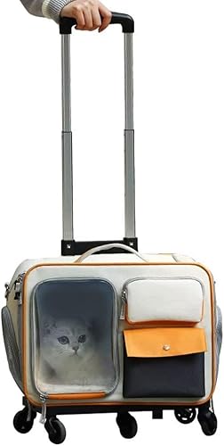 ybg L[P[X L[obO ybgJ[g ybgL[P[X LX^[t lʋC 萫  ܂肽 ^ELp L[obO }bgt ʉ@ h U sp (x[W1pbN4p,32L)