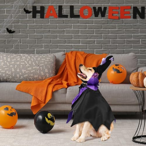 Disfraz Halloween para perros y gatos Hechicera 2 piezas miniatura 6