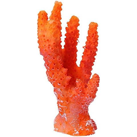 Coraux orange Avejjbaey pour aquarium Cover