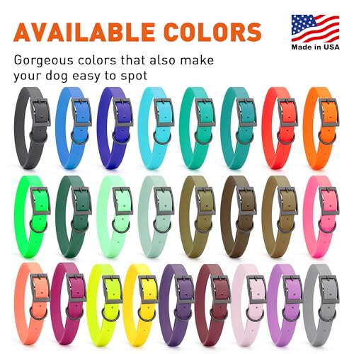 Image of Dogline Biothane Waterproof Dog Collar Strong Coated Nylon Webbing with Black Hardware Odor- Proof for Easy Care Easy to Clean High Performance Fits Small Medium or Large Dogs, Treasure Gold