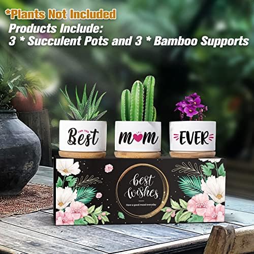 Mum Birthday Gifts, Birthday Gifts for Mum Succulent Planters Pot, Gifts for Mum from Daughter or Son, New Mum/Step Mum/Mummy Gifts for Birthday Christmas Valentine's Day with Beautifully Gift Boxed