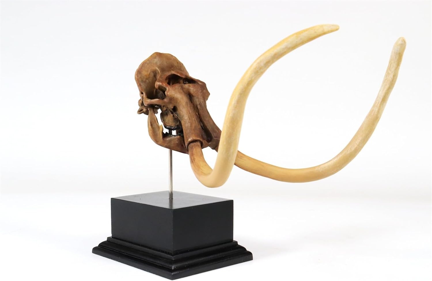 3D Printed Mammoth Skull Model Hand Painting Figure
