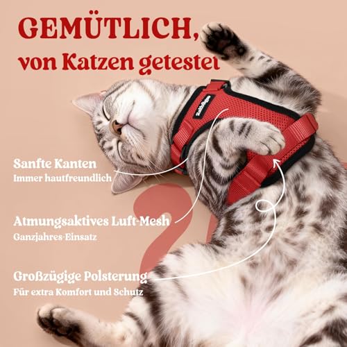 Image of rabbitgoo Cat Harness and Leash Set, Escape Proof Vest, Red | Soft Breathable Mesh, Easy Adjustable Fit, Snap Buckles, Sturdy Clip, Reflective Strips, for Medium to Large Cats Walks, M
