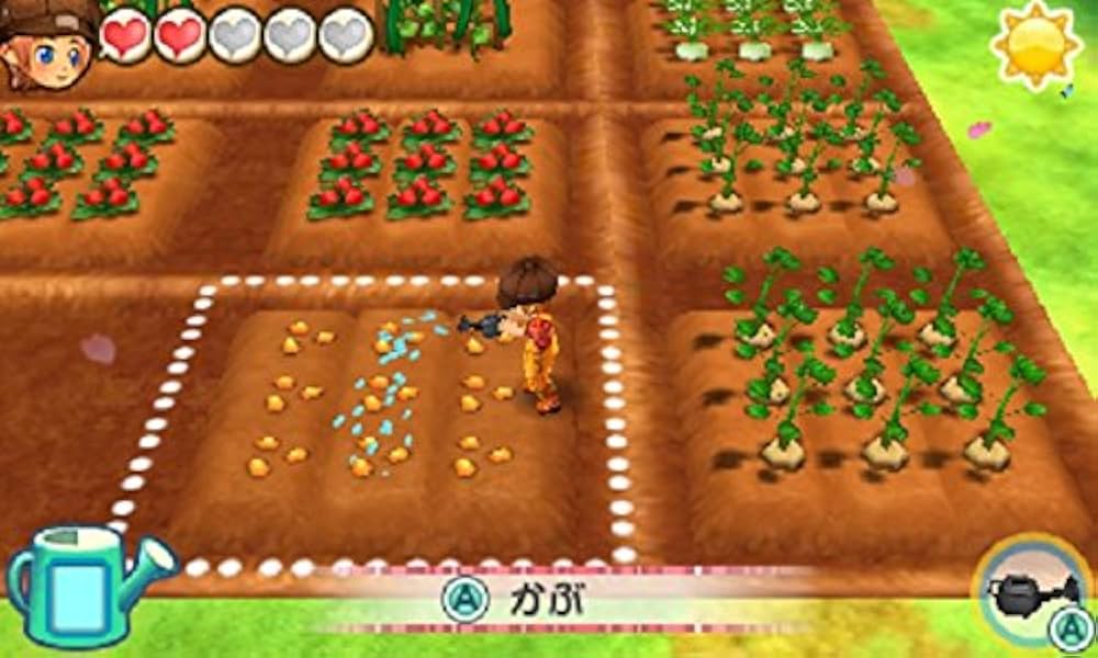 すみっコぐらし セット 牧場物語3つの里の大切な友達 すみっコぐらし セット 牧場物語3つの里の大切な友達 Amazon.co.