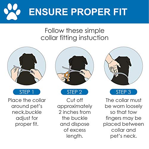 Shaboo Prints Calming Collar for Dogs, Anxiety Relief Collar for Dog & Puppy Lavender Scent 25 Inches Adjustable Collar - Image 4
