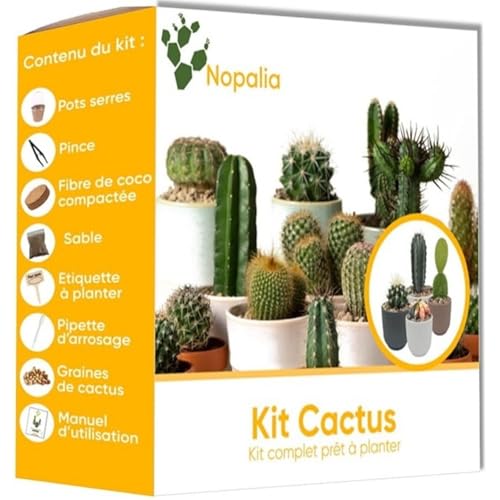 NOPALIA® Kit Cactus Prémium - Mini Kit à Faire Pousser - Mini Cactus - Idée Cadeau Noel - Plante Interieur - Kit Plante Prêt à Pousser - Jardin Intérieur - cadeau de noel original - Plantes Grasses