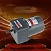 Davitu AC Motor - Single Phase 220V AC Vertical Micro Gear Motor 25W 4IK25GN Constant speed High Torque