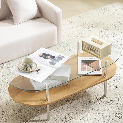 オーエスジェイ(OSJ) ローテーブル 強化ガラス高級 韓国風 組立て簡単 ガラステーブル 二段収納 収納付き おしゃれ リビング 一人暮らし スチール脚 モダン