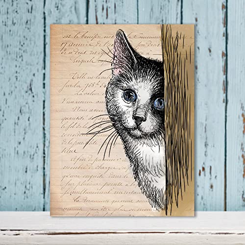 Cat Background Clear Stamps For Card Making, Peeking Cat Animal Clear Rubber Stamps For Holiday Card Making Decoration Diy Scrapbooking Transparent Album Decor Paper Craft #TOP2