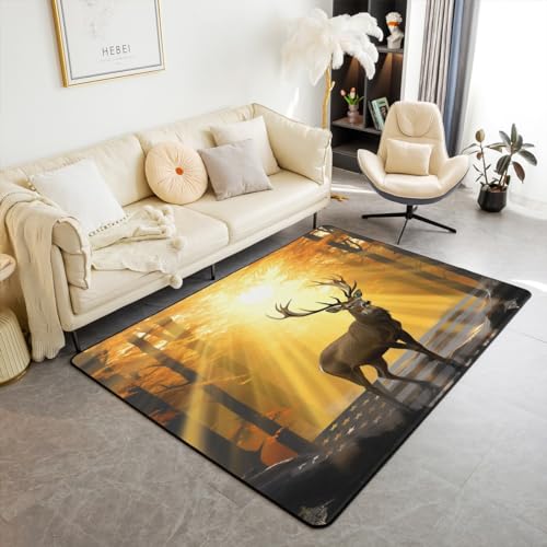  J[ybg O AJ  rO[ O ~^[ Jt[W GAO 5x7 Y LbY j̎q ̎q 쐶  tA}bg R   ANZg O