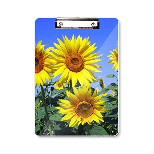 Porte-bloc A4 de qualité Tournesols Blue Sky avec surface lisse et support rigide durable