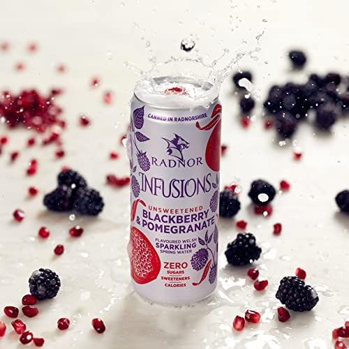 Radnor Infusions Sparkling Blackberry and Pomegranate 12 x 330ml