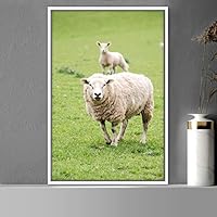 Framed Canvas Wall Art Sheep Animals Expressive Farmhouse/Country Goat Living Room Multicolor Photography - 16x24 inches