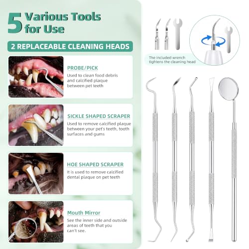 Kit de limpieza de dientes recargable UJW con 5 modos ajustables para perros 3