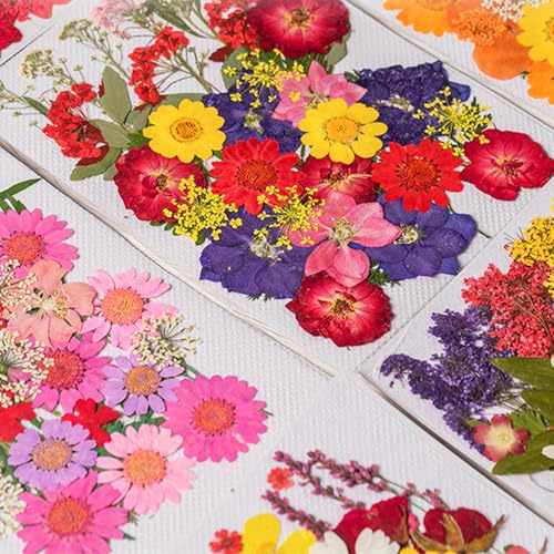 35 flores secas prensadas para resina miniatura 4