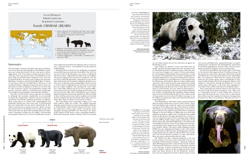 Handbook of Mammals of the World, Vol. 1: Carnivores - Image 11