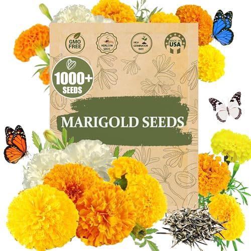 Premium Rare Marigold Seeds - 1000 Heirloom, Non-GMO Flower Seeds for Planting, Easy to Grow -Mix Large-Bloom - for Garden, Patio, Balcony – Annuals for Pollinators, Bees & Butterflies