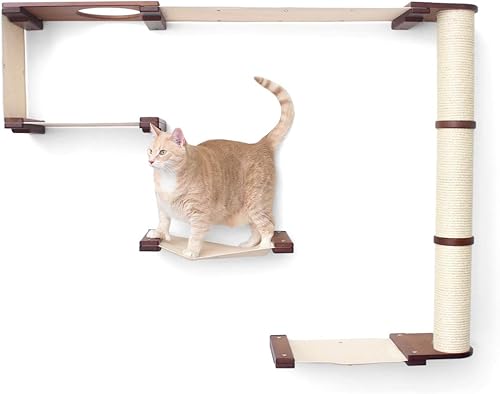 CatastrophiCreations Cat Mod Climb Track - Estantería de árbol para gatos montada en la pared, color castaño inglésnatural, talla única
