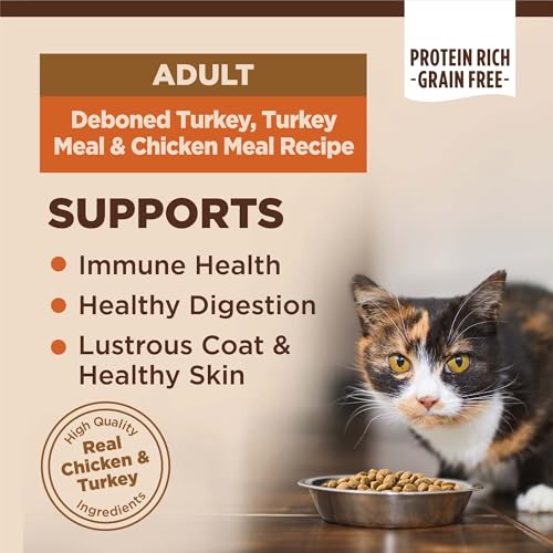 Image of Wellness CORE Adult Dry Cat Food, Natural, Grain Free Kibble, Turkey, Turkey Meal and Chicken Recipe, 11 lb Bag
