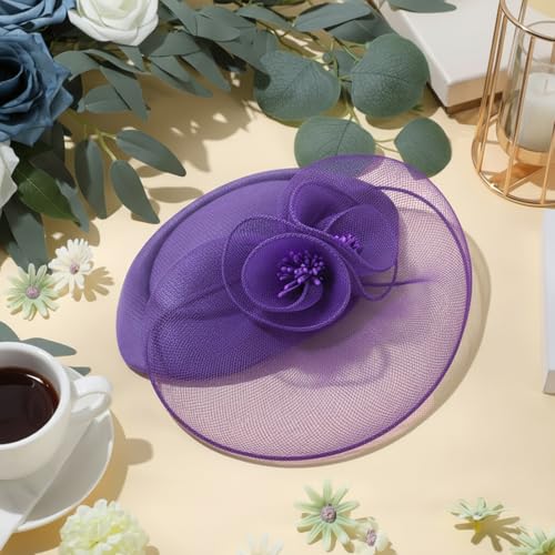 Image of DRESHOW Fascinators Hat Feather Headband Women's Fascinators Tea Party Headwear with Clip Flower Head Band for Girls & Women