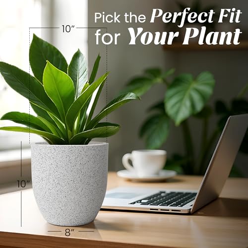 Image of YUCCABE ITALIA FOXB PCUP 10 INCH Pots for Plants Highly Durable Polymers Lightweight Indoor Outdoor Flower Pot Gamla Tree Planter Container Planters for Living Room, Balcony, Garden, Office