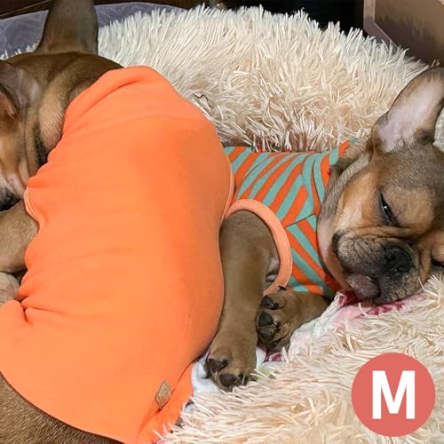 Image of KYEESE 2Pack Dog Sweater for Small Dogs Soft Pet Coats Fleece Sweatshirt | Warm Turtleneck Dog Pullover Clothes, 4-Way Stretch & Lightweight Vest, Doggie Coat in Cold Weather, Daily Wear