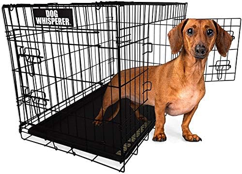 dog whisperer crate