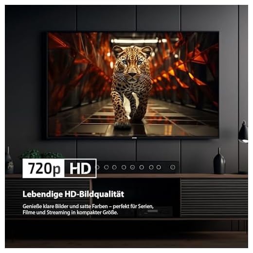 DYON ULTIMAX 32 Zoll HD Smart TV