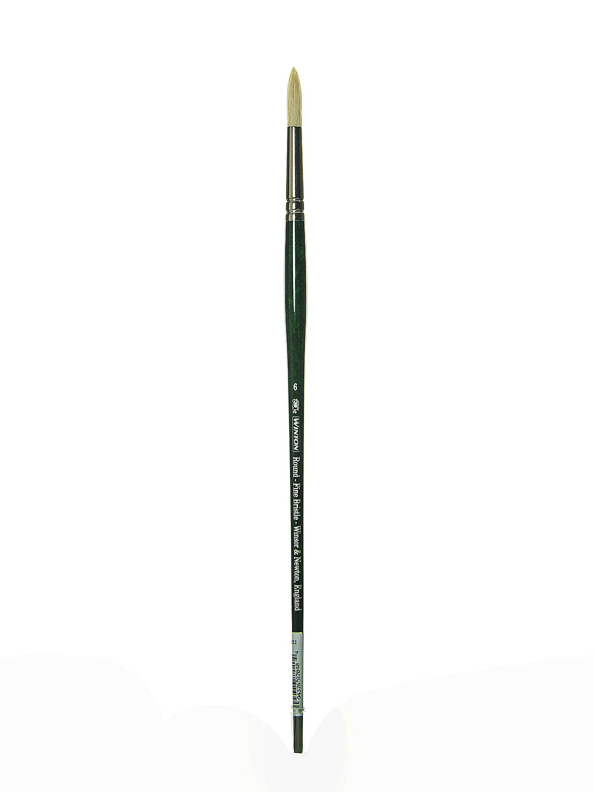 Winsor & Newton : Winton Brush : Round : No 6