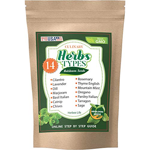 14 Herb Seeds Variety Pack for Planting Outdoor and Indoor - Cilantro, Basil, Parsley, Chives, Oregano, Dill and Others for Your Garden - Grown in US