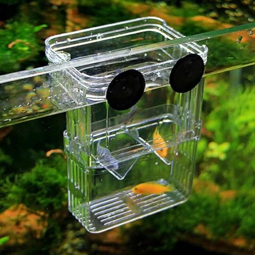 Aquarium Fish Tank Hatchery Incubator Breeding Box, Fish Breeding Box, Transparent Fish Isolation Box Acclimation Hatchery, for Baby Fish Shrimp Clownfish Guppy (L)