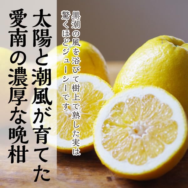 Amazon.co.jp: 河内晩柑 柑橘 宇和ゴールド かわちばんかん 愛媛 秀品