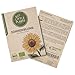 Little Plants BIO Sonnenblumen Samen, 30 Sonnenblumensamen, hohe Keimrate, 100% Natürlich, BIO Samen Sonnenblume für Blumengarten Blumenbeet Hochbeet – BIO Blumensamen Blumenwiese Nachhaltig