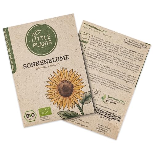 Little Plants BIO Sonnenblumen Samen, 30 Sonnenblumensamen, hohe Keimrate, 100% Natürlich, BIO Samen Sonnenblume für Blumengarten Blumenbeet Hochbeet – BIO Blumensamen Blumenwiese Nachhaltig