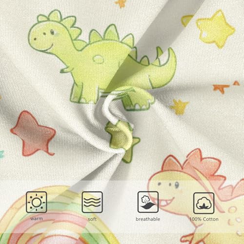 Wusikd Colorful Dinosaurs Boys' Underwear Cotton Rainbow Stars Boys Briefs Soft Toddler Underwear 2T3
