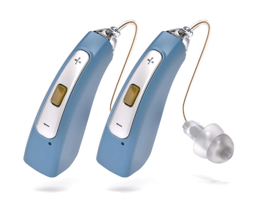 Delmicure Digitales Soundgerät
