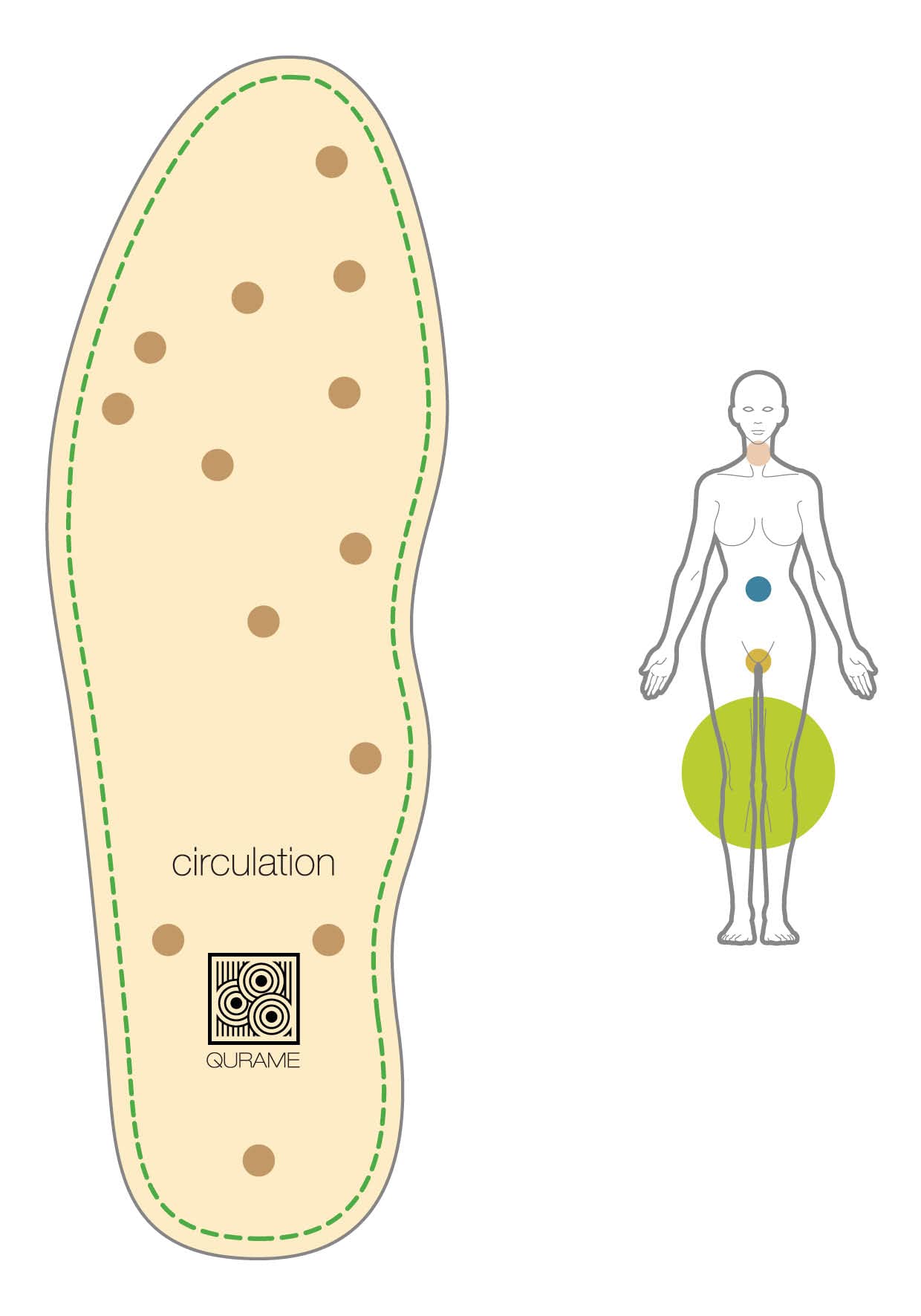 DONNA soletta per scarpe massaggiante, sottopiede per riflessologia plantare con effetto antiodore.Utile per circolazione, stanchezza gambe, articolazioni, relax, digestione(Circulation,36)