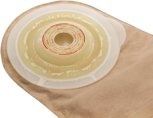 Miniatura 2 de Posterazzi PDX3VG1434Large Irises - Póster de Vincent Van Gogh (8.7 x 28.0 in)