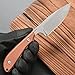 CCFFCC FF101 Micarta Handle Fixed Blade Knife, AUS-10 Steel Blade Full Tang Knife with Sheath for Outdoor Camping Hunting Fishing Working (Brown)
