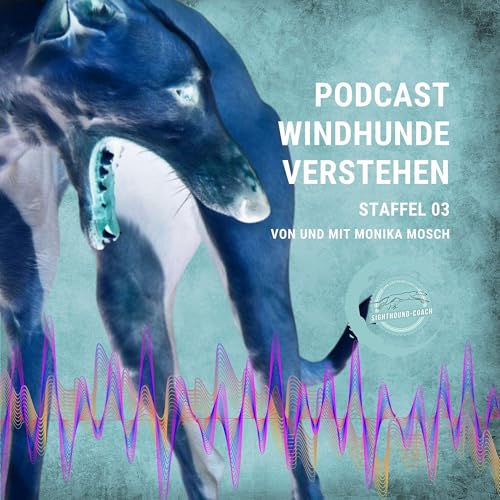 Couverture de Windhunde verstehen Staffel 03