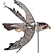Flying Peregrine Falcon Spinner
