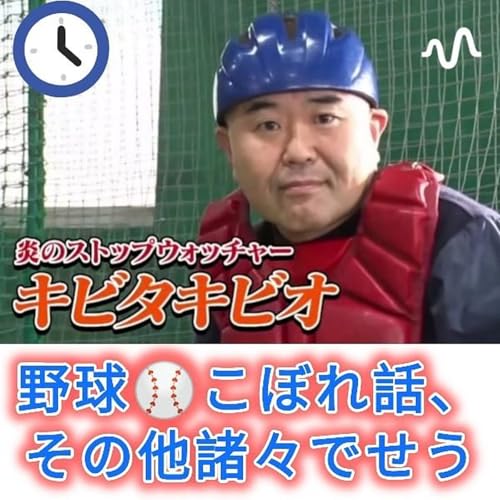 『野球こぼれ話、その他諸々でせう』のカバーアート