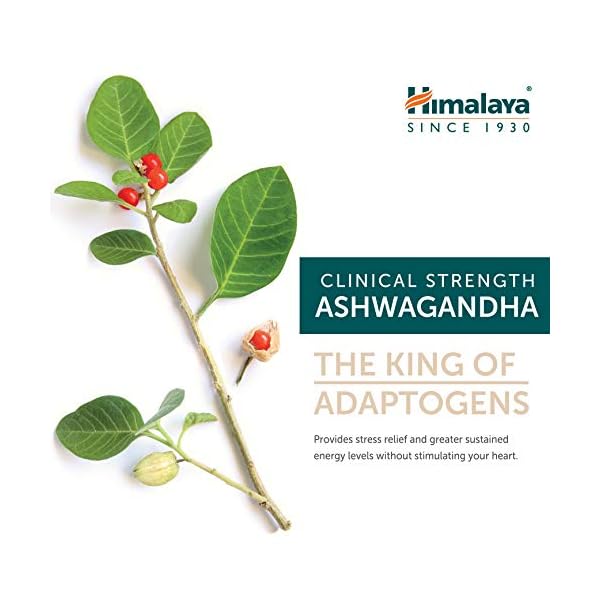 Himalaya Organic Ashwagandha, 60 Day Supply, Herbal Supplement for Stress Relief, Energy Support, Occasional Sleeplessness, USDA Certified Organic, Non-GMO, Vegan, Gluten Free, 670 mg, 60 Caplets