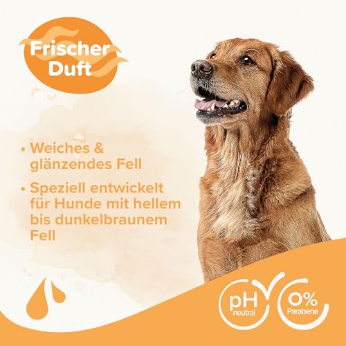 BEAPHAR - Shampoo Für Braunes Fell - Unterstützt Die Natürliche Fellfarbe - Hautfreundlich - Mit Manuka-Honig Und Aloe Vera - Ph-Neutral - 0% Parabene, Silikone - Frischer Duft - 250 ml