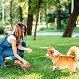 4 Stück Ball mit Schnur Hund, ø 5/30 cm Wurfball am Seil Naturkautschuk, Hundespielzeug Ball mit Seil extrem Weite Würfe, Hundeball Snackball, Hundebälle Kleine Hunde, Große Hunde (Rot Gelb Blau)