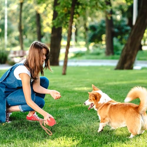 4 Stück Ball mit Schnur Hund, ø 5/30 cm Wurfball am Seil Naturkautschuk, Hundespielzeug Ball mit Seil extrem Weite Würfe, Hundeball Snackball, Hundebälle Kleine Hunde, Große Hunde (Rot Gelb Blau)