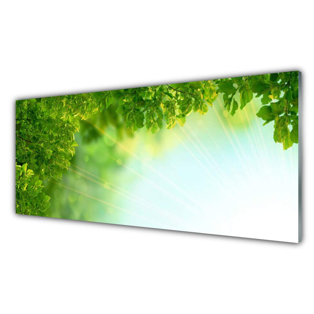 Impression sur verre acrylique 125x50cm tableau feuilles nature avec crochets
