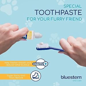   Bluestem-Dog-Cat-Toothbrush-and-Toothpaste-Kit-Dog-and-Cat-Toothpaste-with-Coactiv-Technology-to-Reduce-Tartar-Buildup-Sticky-and-Long-Lasting-Cat-and-Dog-Toothpaste-Chicken-Flavor